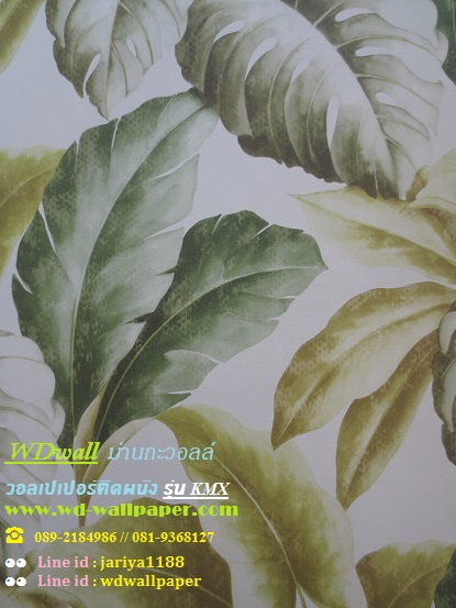 wd2 wallpaper ติดผนัง ลายโมเดิร์นdesign No.1 