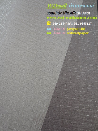 wd2 wallpaper ราคาถูก โปรโมชั่นสุดคุ้ม โปร1