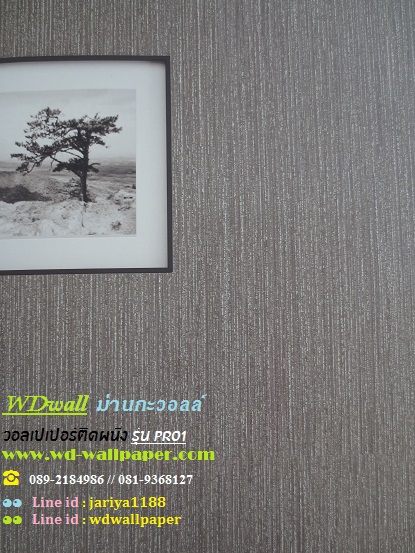 wd2 wallpaper ราคาถูก โปรโมชั่นสุดคุ้ม โปร1