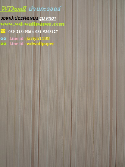 wd2 wallpaper ราคาถูก โปรโมชั่นสุดคุ้ม โปร1
