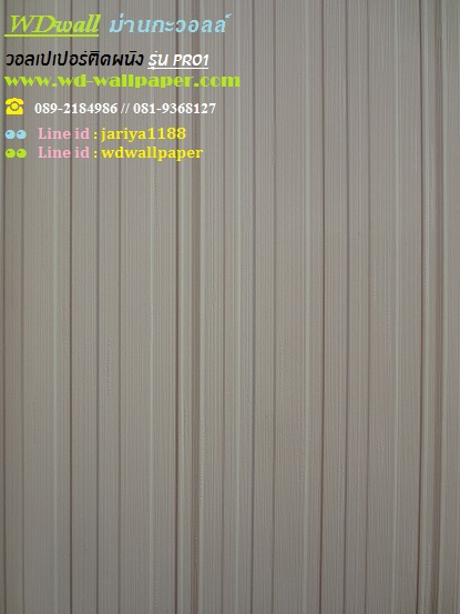 wd2 wallpaper ราคาถูก โปรโมชั่นสุดคุ้ม โปร1