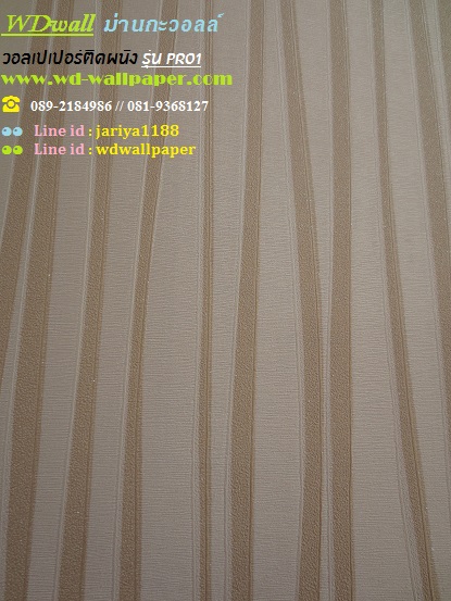 wd2 wallpaper ราคาถูก โปรโมชั่นสุดคุ้ม โปร1