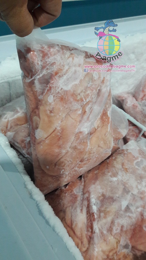 พร้อมส่ง  เนื้อจระเข้สดแช่แข็ง กระเพราะ
