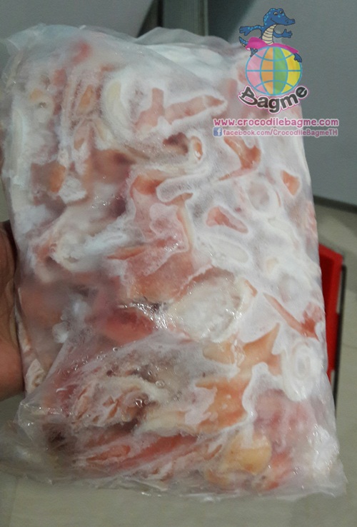 พร้อมส่ง  เนื้อจระเข้สดแช่แข็ง ใส้