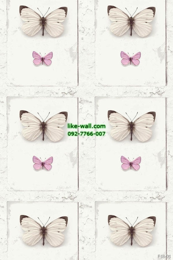 วอลเปเปอร์ ลายผีเสื้อ สีชมพู