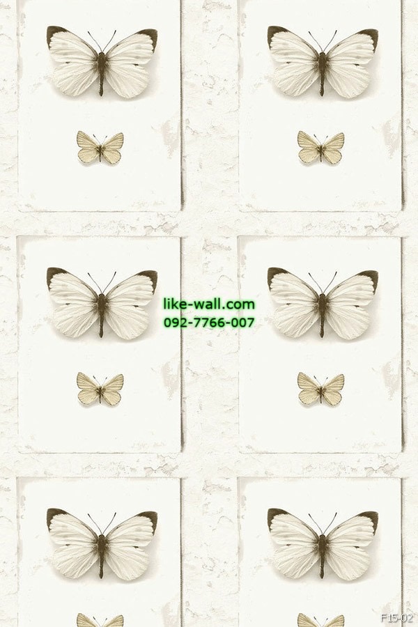 วอลเปเปอร์ ลายผีเสื้อ สีครีม