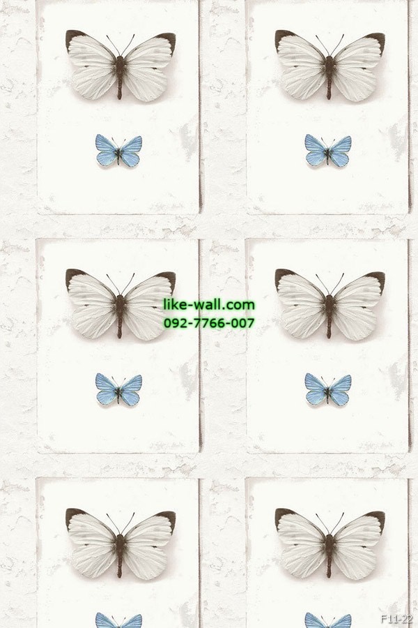 วอลเปเปอร์ ลายผีเสื้อ สีฟ้า
