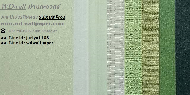 วอลเปเปอร์ติดผนัง Pro1