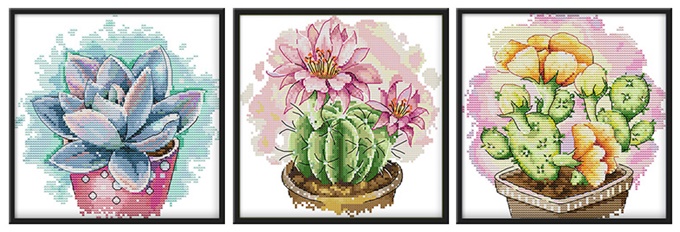 Cactus (ชุด 3 ชิ้น)(ไม่พิมพ์/พิมพ์ลาย)