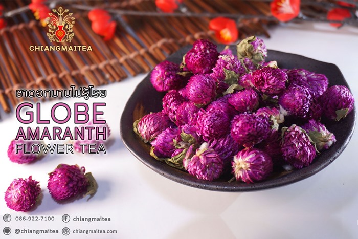 ชาดอกบานไม่รู้โรย (Globe Amaranth Tea) 100 g.