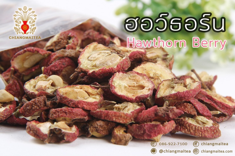 ฮอร์ธอร์น เบอร์รี่ (Hawthorn Berry) 500 g.