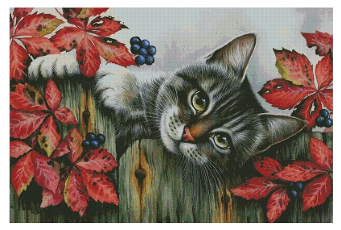 Cat on the fence (พิมพ์ลาย)