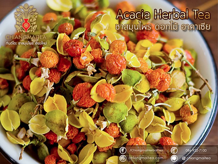 ชาสมุนไพร ดอกไม้ อาคาเซีย (Acacia Herbal Tea) 100g