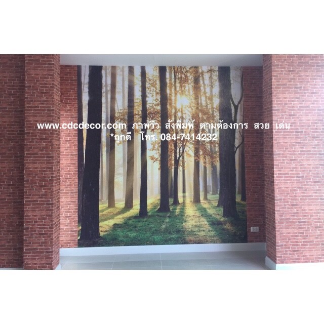 งานคุ้ม คุณภาพครบ ติดวอลที่นี่ สวย เด่น  มีสไตล์  มีรสนิยม