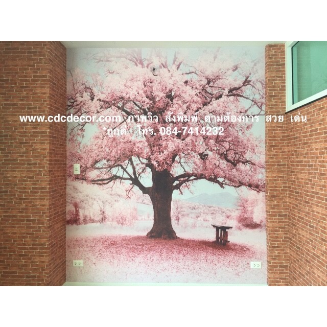 งานคุ้ม คุณภาพครบ ติดวอลที่นี่ สวย เด่น  มีสไตล์  มีรสนิยม