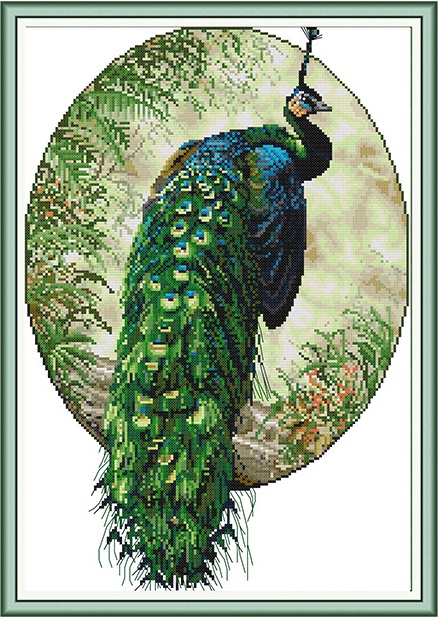 Peacock (ไม่พิมพ์/พิมพ์ลาย)