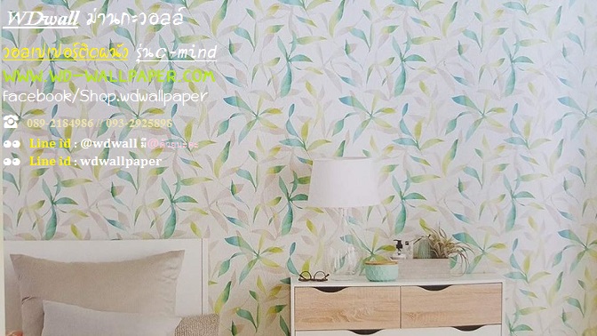 วอลเปเปอร์ติดผนัง ลายโมเดิร์น-พอลสมิท-กราฟฟิก