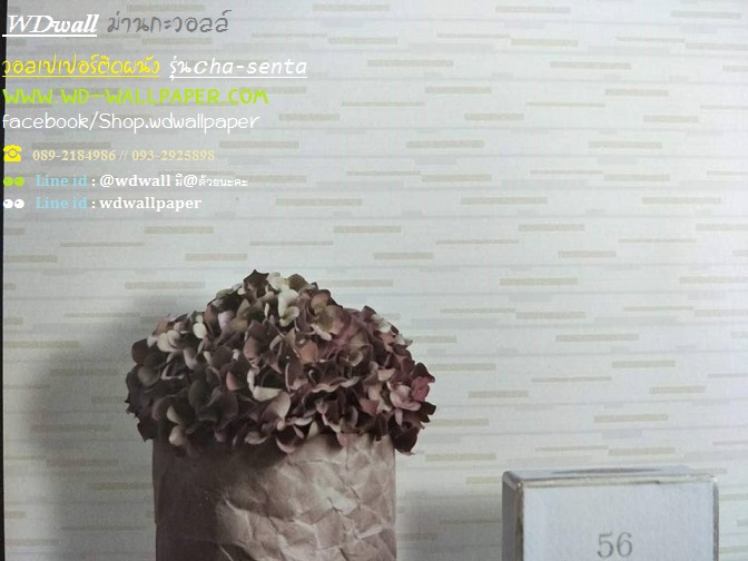 wd2 wallpaperติดผนัง ลายไม้ ลายธรรมชาติ