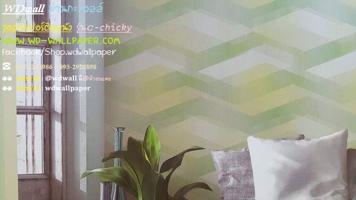 wd2 wallpaperติดผนัง ลายโมเดิร์น พอลสมิท กราฟฟิก