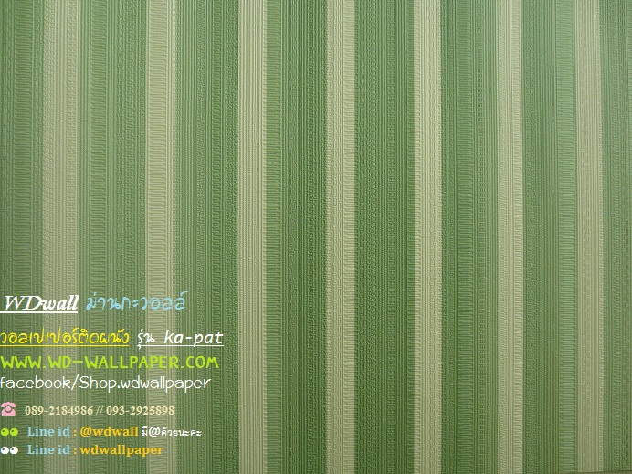 wd2 wallpaperติดผนัง ลายเส้น ลายทาง