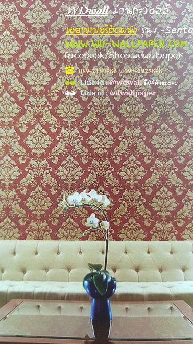 wd2 wallpaperติดผนัง ลายหลุยส์