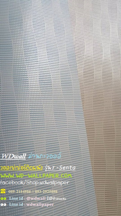 wd2 wallpaperติดผนัง ลายเรียบ