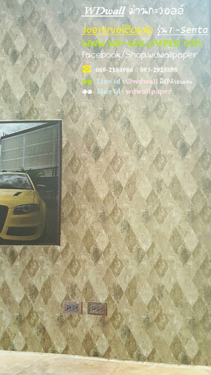 wd2 wallpaperติดผนัง ลายเรียบ