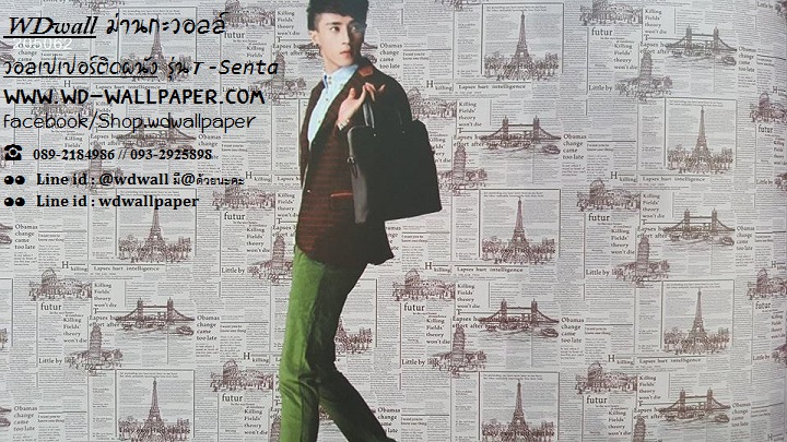 wd2 wallpaper ลายโมเดิร์นdesign