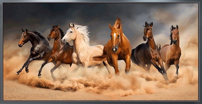 แปดอาชา ม้า Eight horse (พิมพ์ลาย)