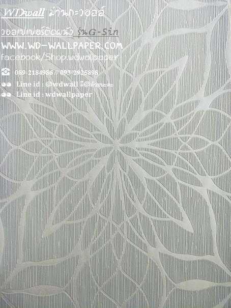 wd2 wallpaperติดผนัง ลายโมเดิร์น พอลสมิท กราฟฟิก
