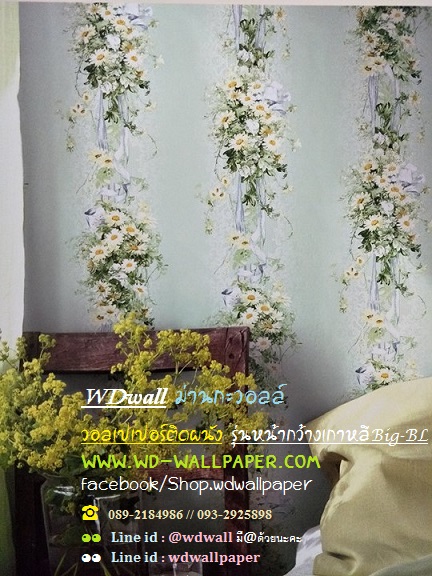 wallหน้ากว้าง เกาหลี