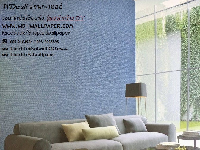 wd2 wallหน้ากว้าง เกาหลี