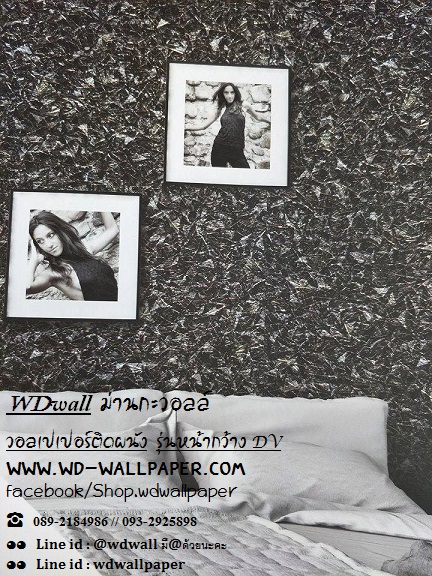 wd2 wallหน้ากว้าง เกาหลี