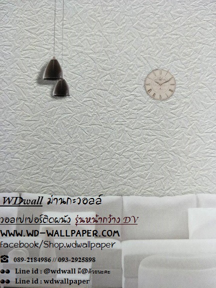 wd2 wallหน้ากว้าง เกาหลี