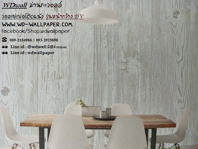wd2 wallหน้ากว้าง เกาหลี
