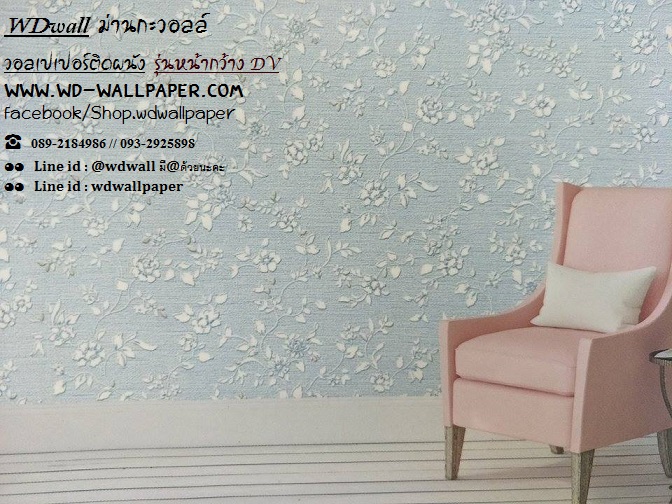 wd2 wallหน้ากว้าง เกาหลี