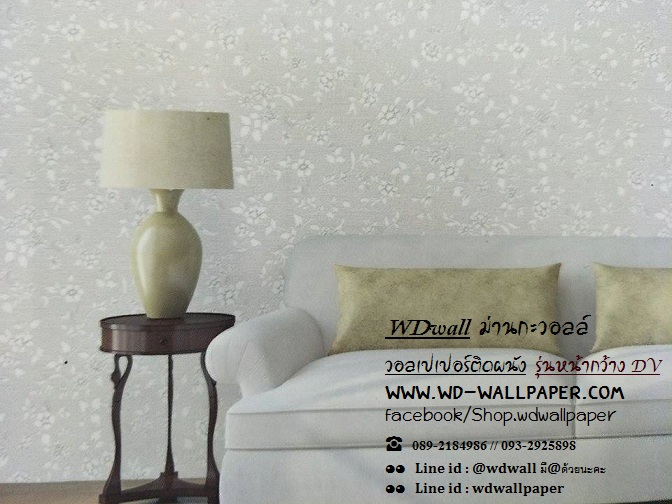 wd2 wallหน้ากว้าง เกาหลี