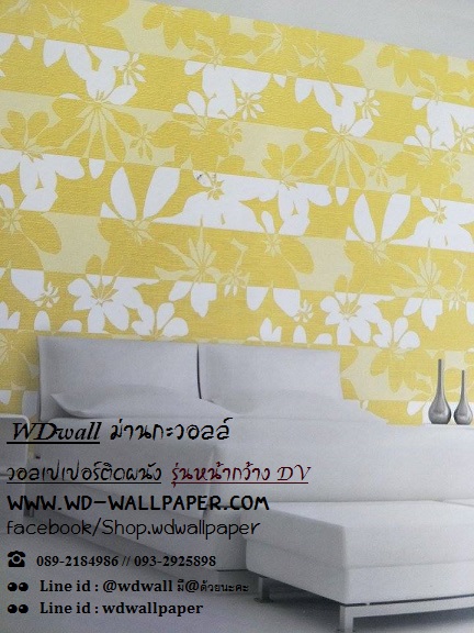 wd2 wallหน้ากว้าง เกาหลี