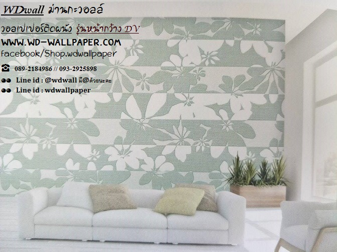 wd2 wallหน้ากว้าง เกาหลี