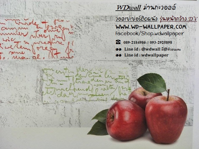 wd2 wallหน้ากว้าง เกาหลี