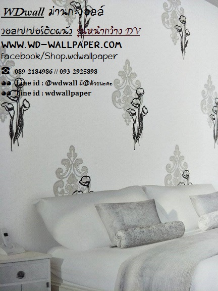 wd2 wallหน้ากว้าง เกาหลี