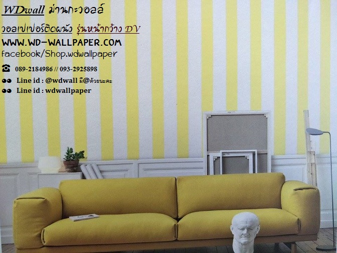 wd2 wallหน้ากว้าง เกาหลี