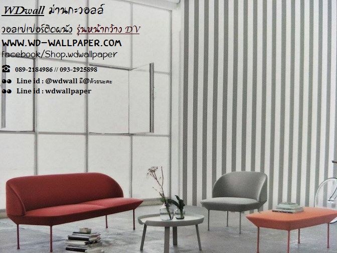 wd2 wallหน้ากว้าง เกาหลี