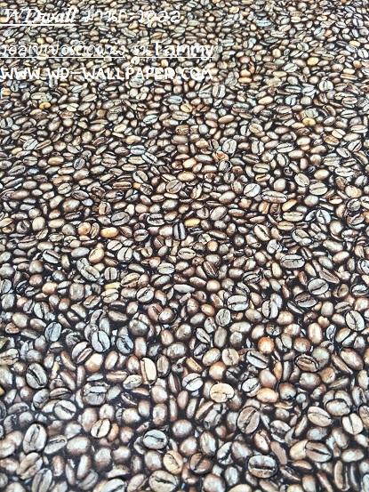 วอลเปเปอร์ติดผนัง สไตล์โมเดิร์น (Modern Style)