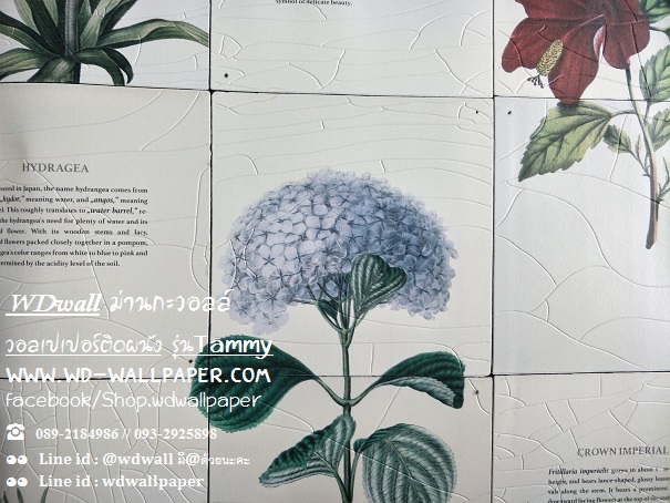 วอลเปเปอร์ติดผนัง สไตล์โมเดิร์น (Modern Style)