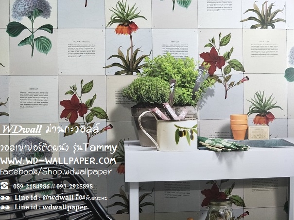วอลเปเปอร์ติดผนัง สไตล์โมเดิร์น (Modern Style)