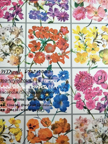 วอลเปเปอร์ติดผนัง สไตล์โมเดิร์น (Modern Style)