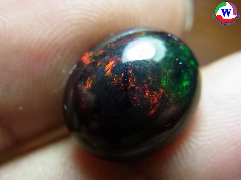 6.05 กะรัต Black Opal คัดสวยประกายเกล็ด 6 สี เนื้อพลอยในสีแดงใส