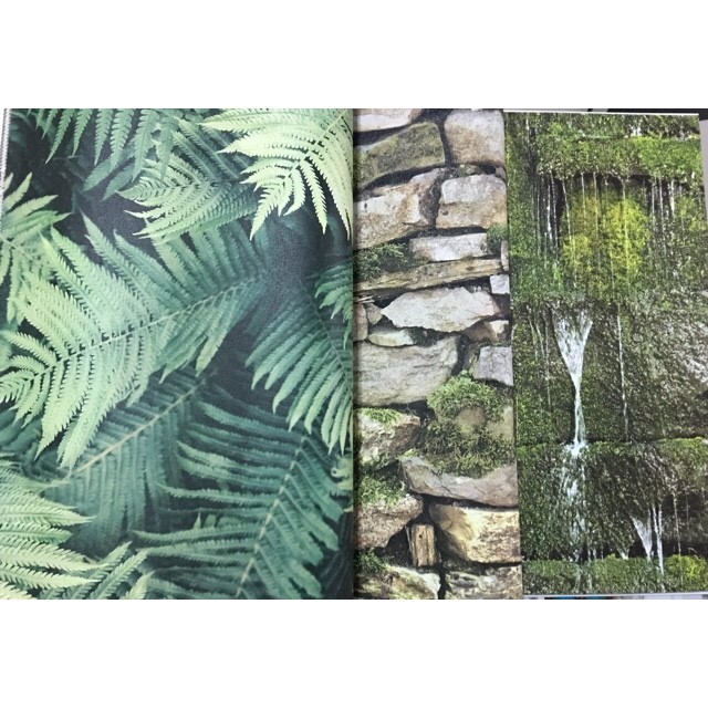 wallอิฐ หินไม้2 ยาว10ม. กว้าง53ซม ม้วน5ตรมab