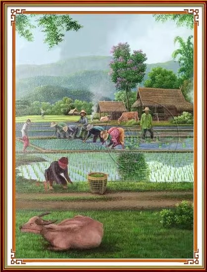 Rice planting (พิมพ์ลาย)